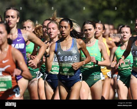 Cal media 1857 jpg hi-res stock photography and images - Alamy