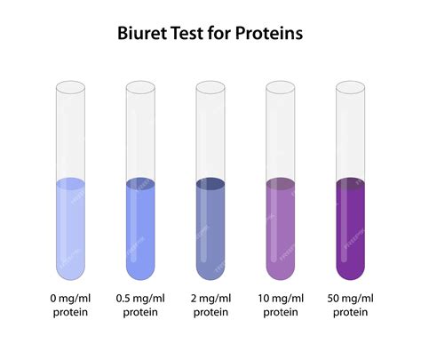 Biuret test for proteins | Premium Vector