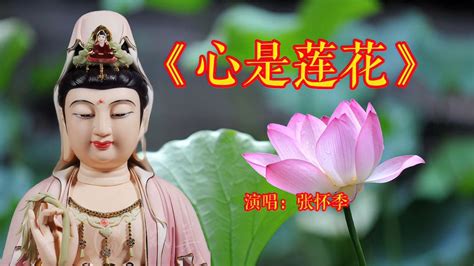 禅乐静心《心是莲花》非常好听的一首佛教歌曲 值得大家收藏-音乐视频-搜狐视频