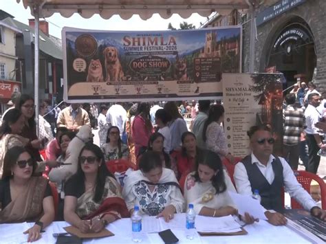 Himachal Pradesh: Dog show draws crowds at Shimla Summer Festival ...
