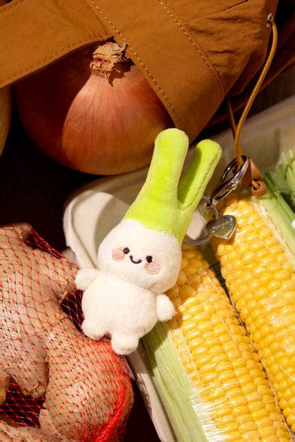 Petmoko Bag 的图像结果