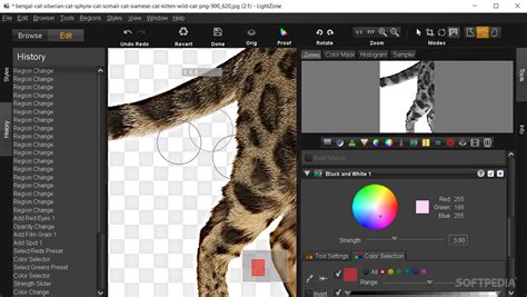 Image result for LightZone Tutorials