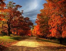 Wallpaper Lock Screen Fall Background by Desktop Wallpaper Fall 183 Wallpapertag Wallpaper Lock Screen Fall Background
