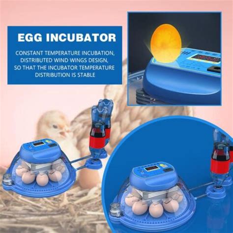 Buy Chicken Incubators for Hatching Eggs w/ Automatic Egg Turning ...