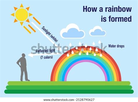 Rainbow Nature 的图像结果