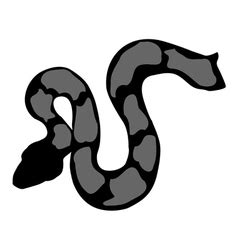 Image result for Python Web Development Vector Image