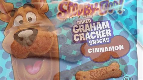 Snapklik.com : Kelloggs SCOOBY-DOO Baked Graham Cracker Snacks, Lunch ...