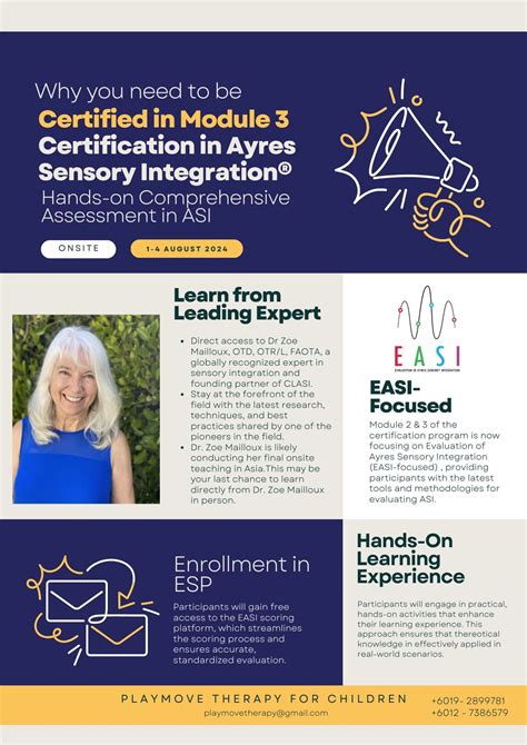 Join Certification Of Ayres Sensory Integration : Hands- On ...