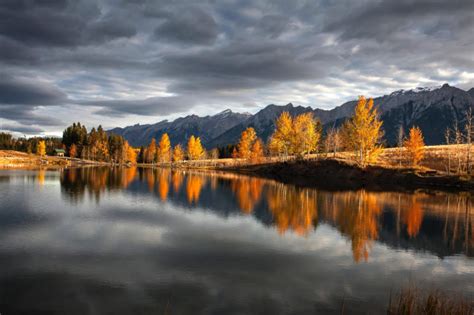 Photography Photos as Local 的图像结果