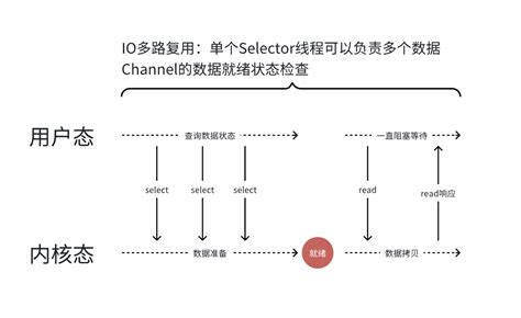 Io Examples Examples 的图像结果