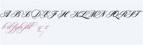 script swashes Fonts Free Download - OnlineWebFonts.COM