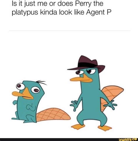 Phineas And Ferb Perry Meme