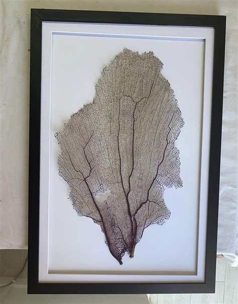 Framing Art 的图像结果