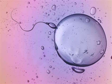The main reason women freeze their eggs, study reveals | The Independent | The Independent