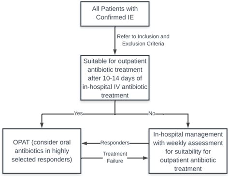 Outpatient Parenteral Antimicrobial Therapy for Infective Endocarditis—Model of Care