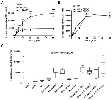 Engineering of a Bacterial Biosensor for the Detection of Chlorate in Food