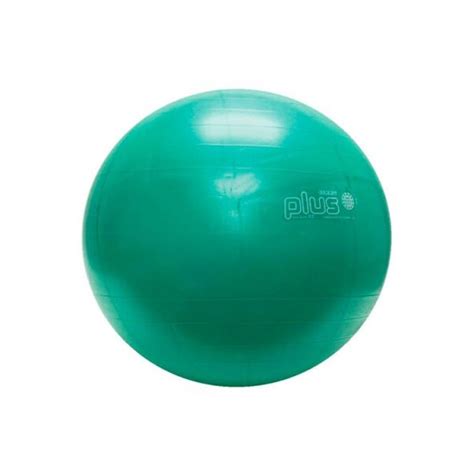 Image result for Inflating Exercise Ball