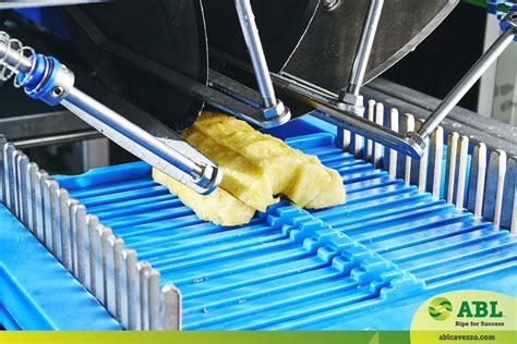 Process Fruit 的图像结果