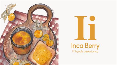 A–Z Ingredient Guide: Inca Berry - The Tangy Winter Jewel Transforming ...