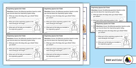 Seventh Grade Respiratory System Exit Ticket