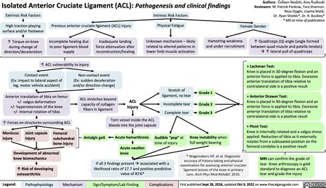 isolated-anterior-cruciate-ligament-acl-injury-pathogenesis-and ...