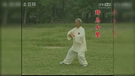 扎西 杨氏85式太极拳（流畅）-原创视频-搜狐视频