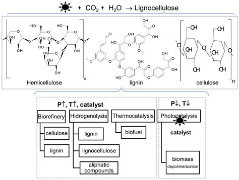 Waste Biomass Selective and Sustainable Photooxidation to High-Added ...
