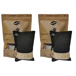 Runbugz Activated Charcoal Air Purifier for Car Bathroom Kitchen to ...