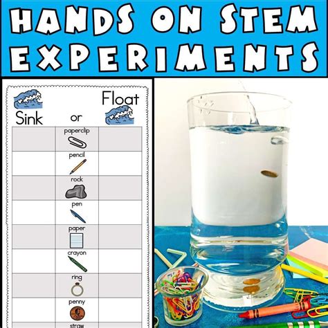 Sink Or Float Worksheet Sink And Float Worksheet Printables In The