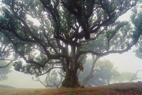 Dale Bartholomew Cooper on Behance