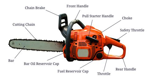 Chainsaw Tutorial 的图像结果