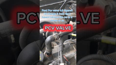 PCV Valve Function 的图像结果