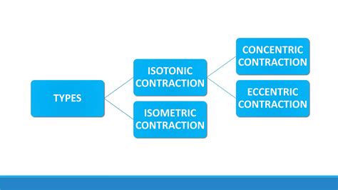 Image result for Contraction Types Exercise
