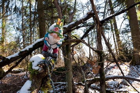 Exploring the New Gnome Trail in Maple Valley - Travelffeine