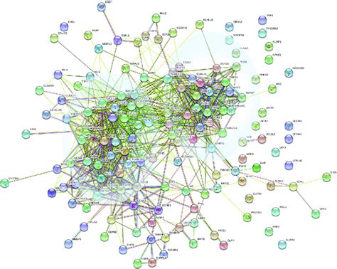Image result for STRING Protein Interactions