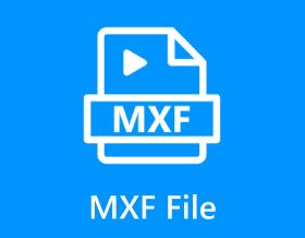Open MXF File 的图像结果