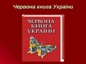 Зображення за запитом Червона книга України