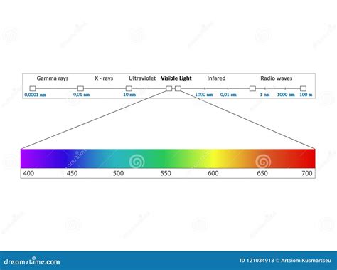 Electromagnetic Spectrum Diagram Vector Illustration | CartoonDealer.com #95762620