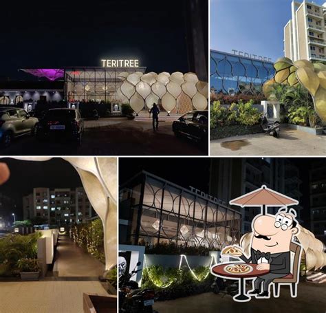 TERITREE Restaurant, Pune - Restaurant menu, prices and reviews