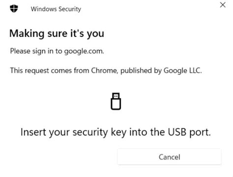 Image result for Windows Security Key USB