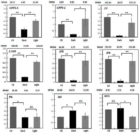 Transcriptome Analysis of Light-Regulated Monoterpenes Biosynthesis in ...