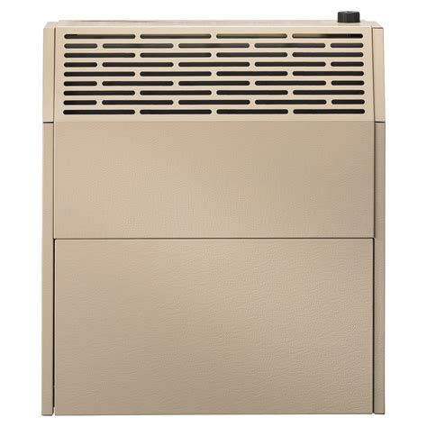 HouseWarmer Slim-Profile Direct-Vent Wall Heater with Built-In Blower ...