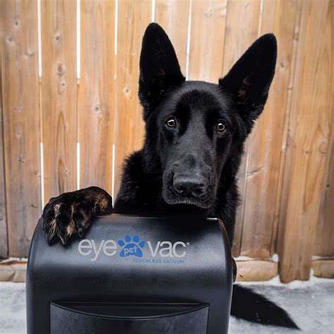 EyeVac - 🚨 New Color Alert! 🚨 The EyeVac Pet is now... | Facebook