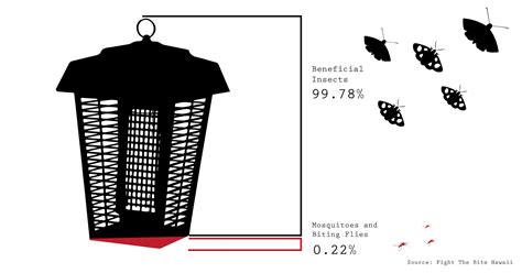 Are Bug Zappers Really Effective Against Mosquitoes? The Answer May ...