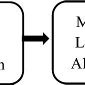 Filter Feature Selection 的图像结果
