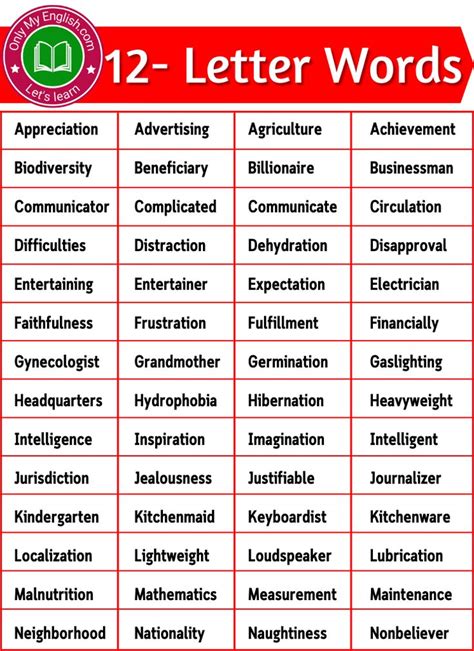 11 Letter Words | Eleven Letter Words | Letter n words, Lettering, Words