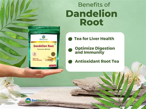 Dandelion Root Tea for Digestive & Liver Support | Herbal Brew ...