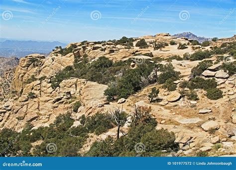 Windy Point Vista on Mt. Lemmon Stock Photo - Image of national ...