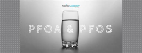 Image result for PFO Filter