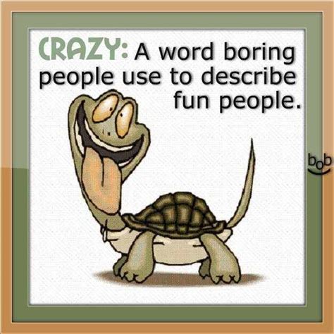 Boring 的图像结果